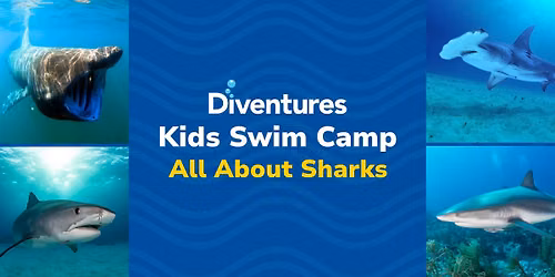 Kids Swim Camp: All About Sharks