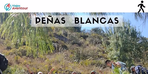 Mirador Pe\u00f1as Blancas - Caminata con mascota