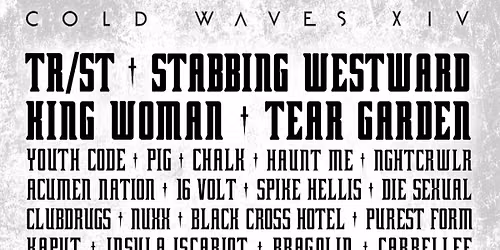 Cold Waves XIV Chicago - 3 Day Pass