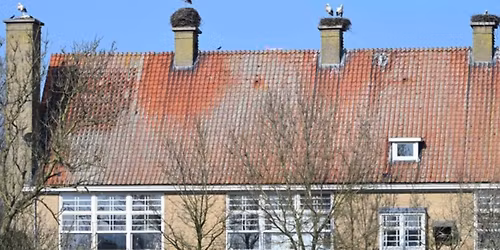 Zondag 19 april Film + fietsexcursie: The Tale of Silyan in Cinema De Vlugt.