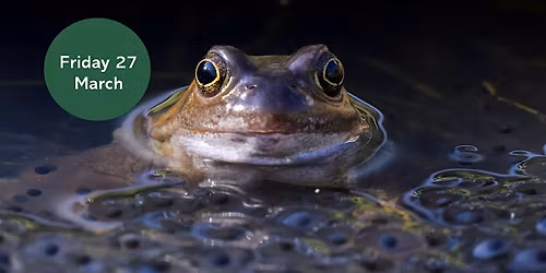 Ouse Burn Way: Ponds by Night