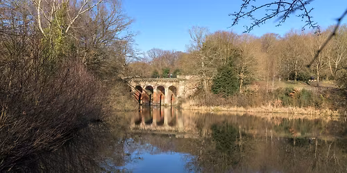 Hampstead Heath & Parliament Hill -