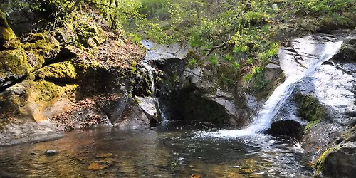 C O M P L E T - Formation de sourcier - Initiation et travaux pratiques