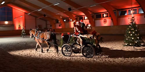 Juleshow for hele familien