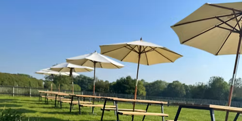 Pop up pottery painting at Rebecca's Kitchen at Malt Kiln Farm Shop 