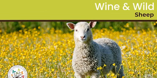 Wine & Wild - Sheep 