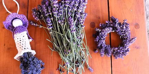 Jarn\u00ed burza sem\u00ednek a odkopk\u016f