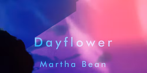 Dayflower . Martha Bean . Peter Wyeth . Dogs Don't Deal (Headway UK charity show)