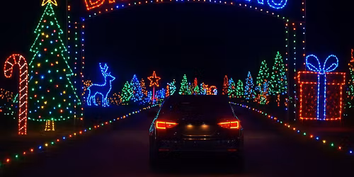 Glo Light Experience 