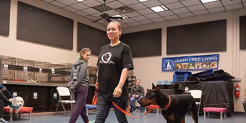 Spring Training Gym Class