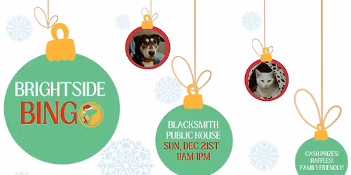 Bingo For BrightSide Animal Center