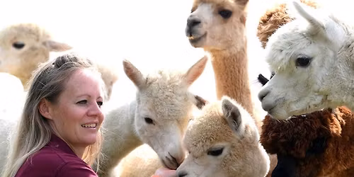 Paxfest & Fun Dog Show 2026