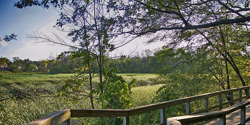 Rattray Marsh and Jack Darling Memorial Park