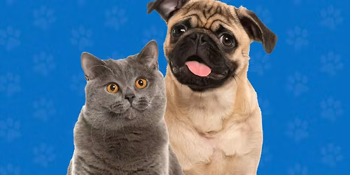 Low Cost Dog & Cat Mobile Vaccine Clinic