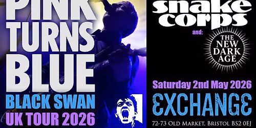 PINK TURNS BLUE\u00a0- The Black Swan Tour + The Snake Corps &amp; The New Dark Age
