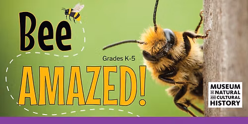 Museum of Natural & Cultural History: BEE Amazed