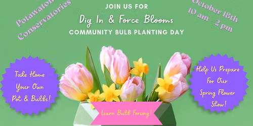 Dig In & Force Blooms
