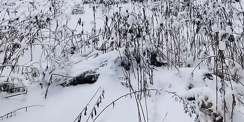 Winter Is My Favorite Season