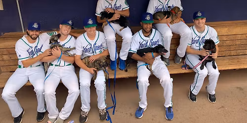 Meet Bluey & Bark in the Park