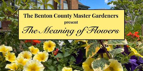 The Meaning of Flowers