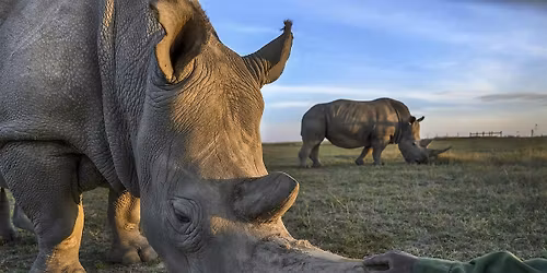 Lucie Talks with Honoree Ami Vitale