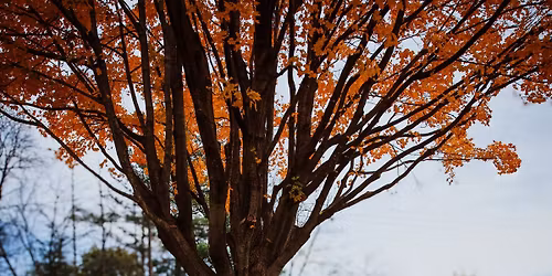 Elijah Fairbank-Graduation Open House 