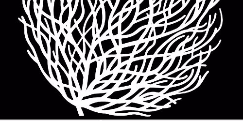 Steel Tumbleweed Live