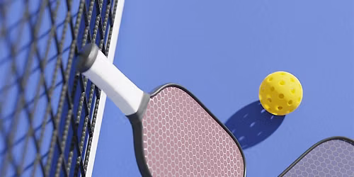 Vet Social Club- Pickleball Clinic and Game