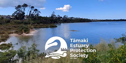 CUTE Clean Up Tamaki Estuary