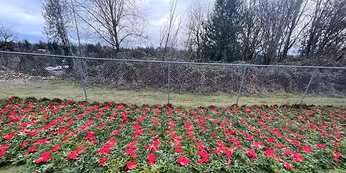 Wreaths Across America - wreath laying