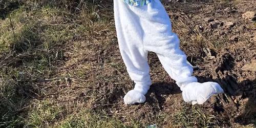 Easter bunny meet and greet