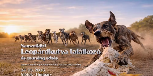 Nemzetk\u00f6zi Leop\u00e1rdkutya tal\u00e1lkoz\u00f3 \u00e9s coursing edz\u00e9s