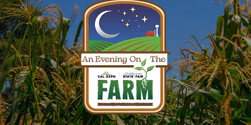 An Evening On The Farm