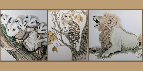 Unleash Your Inner Artist: Focus on Wildlife Artist Susan Morrison