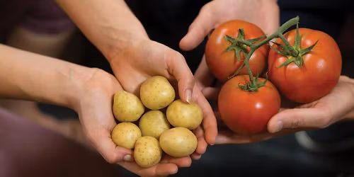 Garden Class: Tomatoes & Taters