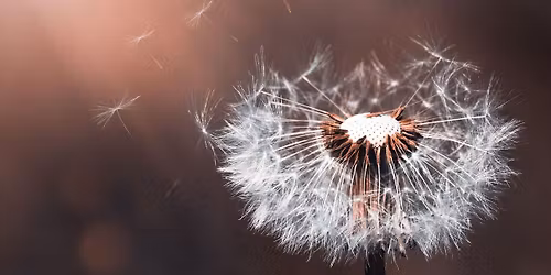 Ontdek je kracht. Zomerzonnewende 