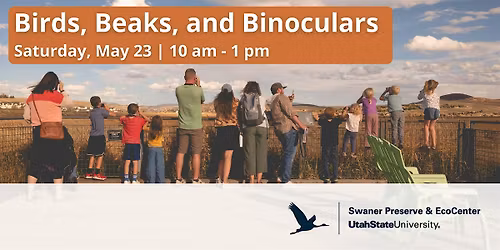 Birds, Beaks, and Binoculars: Family Birding Day