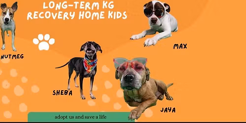 Puppy Training Class 1\/5\/26