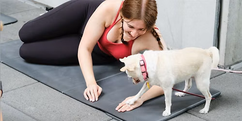 Puppy Pilates with Social Tees Animal Rescue