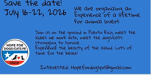 Travel to Puerto Rico