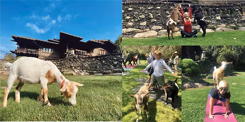 9am Baby Goat Yoga at the Gamble House