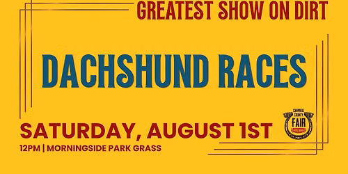 Dachshund Races