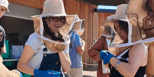 Inside the Hive: A Beekeeping Experience at Fox Point Farms