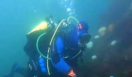 EDMONDS UNDERWATER PARK