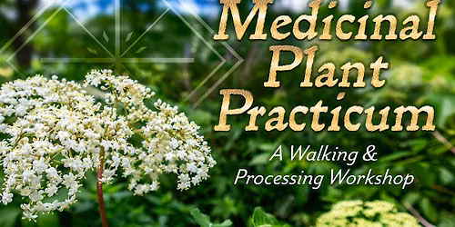 Medicinal Plant Practicum
