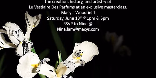 YSL Master class