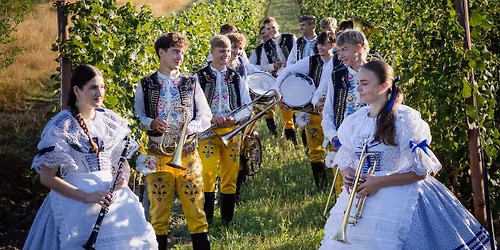 Prvn\u00ed koncert DH Vla\u0161tov\u011bnky