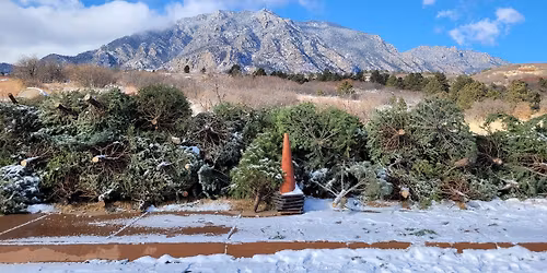 Tree Recycle- Friends of Cheyenne Mountain State Park Fundraiser