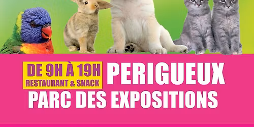 Expo avicole au salon animalier