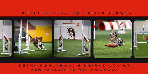 Kiltan syyskuun agilitykilpailut Kokkolassa